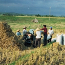 19980929 Bali 03 onderweg rijstoogst 01 Scannen0007