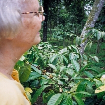 19980930 Kalibaru plantagetuin 04 Wim bij een koffieplant 01 Wim