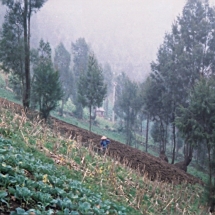 19981001 onderweg naar Malang 05