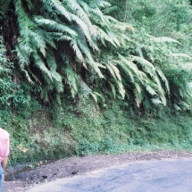 19981001 onderweg naar Malang 06