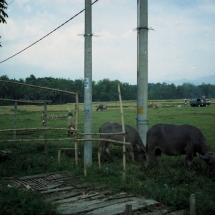 19981004 onderweg naar Kediri 02 nog een brug 01