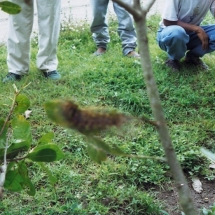 19981006 onderweg 05 het kruidje roer mij niet 01