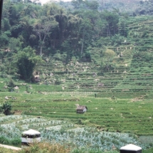 19981009 Blitar 01 onderweg naar Madioen 07