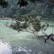 19981016 Dieng plateau 03 het kleurenmeer (4)