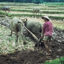 19981018 onderweg naar Semarang (3)