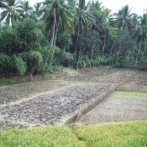 19981018 onderweg naar Semarang (6)