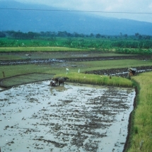 19981018 onderweg naar Semarang (7)